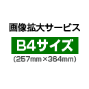 画像拡大サービス:B4サイズ(257mm×364mm)