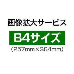 画像拡大サービス:B4サイズ(257mm×364mm)