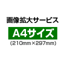 画像拡大サービス:A4サイズ(210mm×297mm)