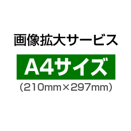 画像拡大サービス:A4サイズ(210mm×297mm)