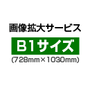 画像拡大サービス:B1サイズ(728mm×1030mm)