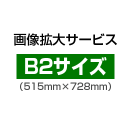 画像拡大サービス:B2サイズ(515mm×728mm)