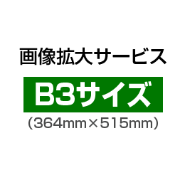 画像拡大サービス:B3サイズ(364mm×515mm)