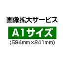 画像拡大サービス:A1サイズ(594mm×841mm)